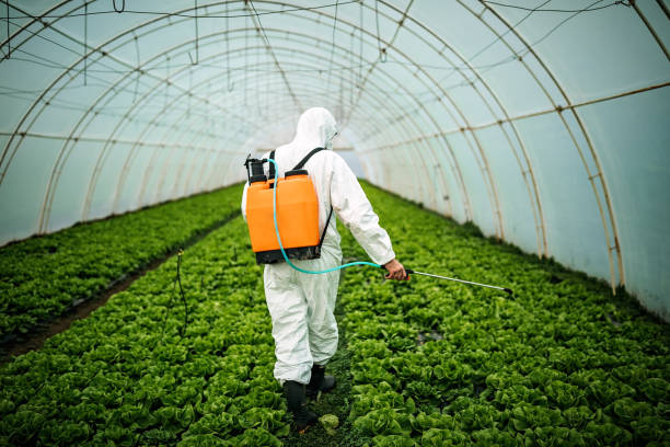 Best Pest Prevention Services  in Summersville, WV
