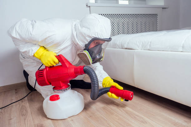 Best Residential Pest Control  in Summersville, WV