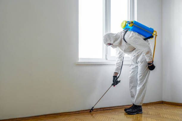Best Cockroach Control Services  in Summersville, WV