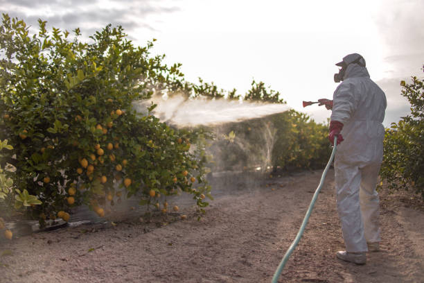 Best Pest Inspection Near Me  in Summersville, WV