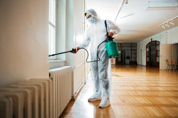 Best Termite Control Services  in Summersville, WV
